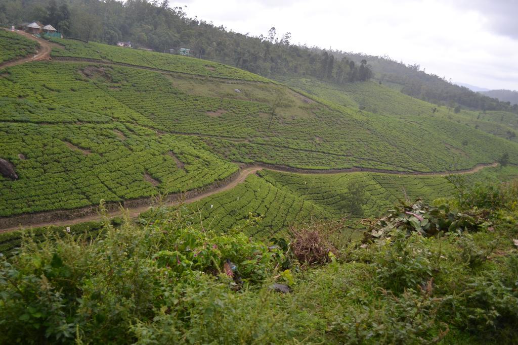 Ferndale Homestay Thekkady Exteriör bild