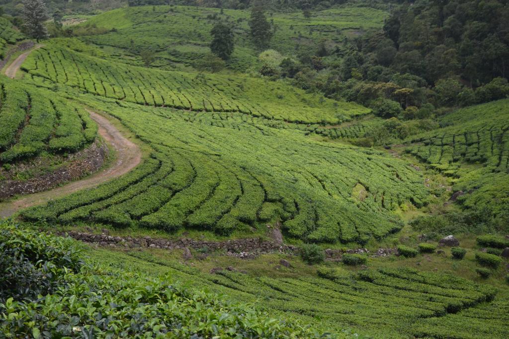 Ferndale Homestay Thekkady Exteriör bild