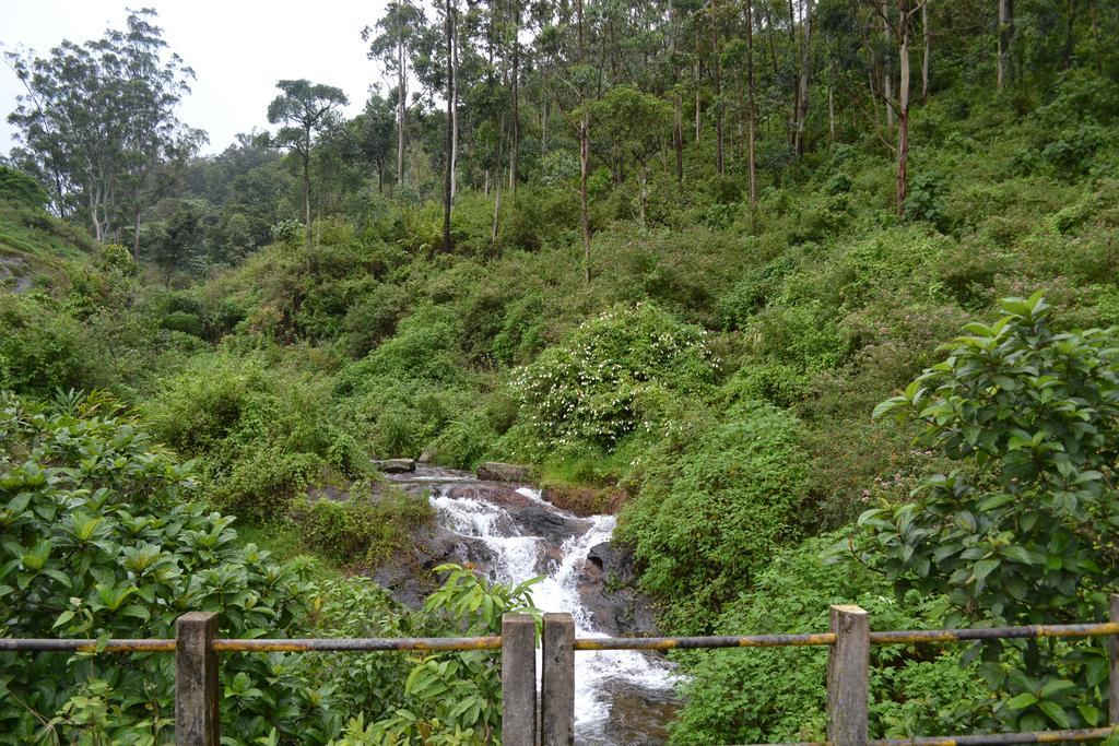 Ferndale Homestay Thekkady Exteriör bild