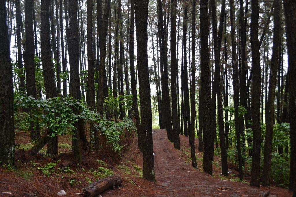 Ferndale Homestay Thekkady Exteriör bild