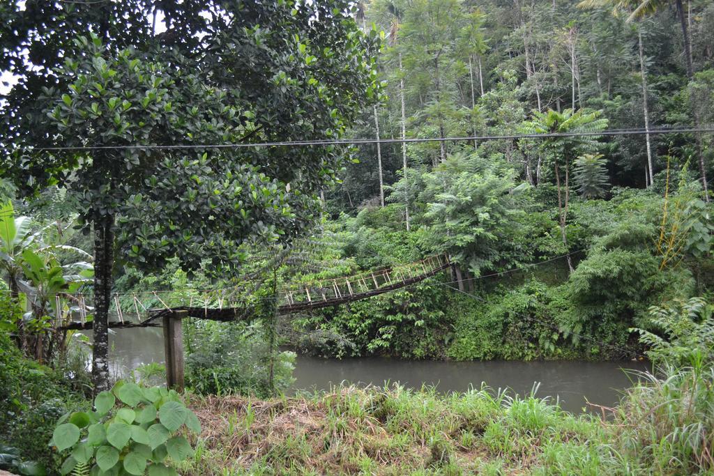 Ferndale Homestay Thekkady Exteriör bild