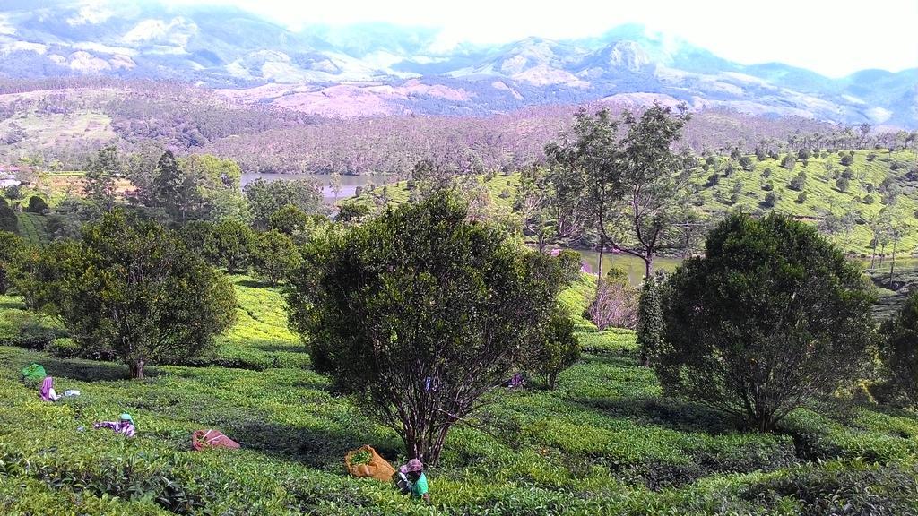 Ferndale Homestay Thekkady Exteriör bild