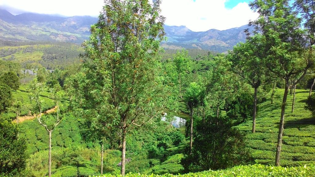 Ferndale Homestay Thekkady Exteriör bild