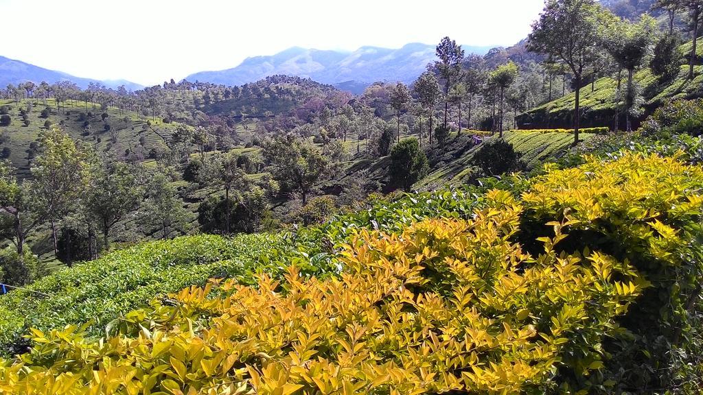 Ferndale Homestay Thekkady Exteriör bild