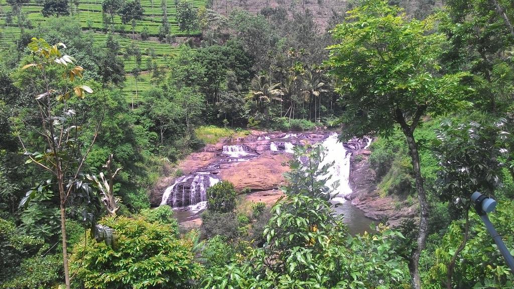 Ferndale Homestay Thekkady Exteriör bild